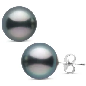 12.0-13.0 mm AAA Tahitian Pearl Stud Earrings