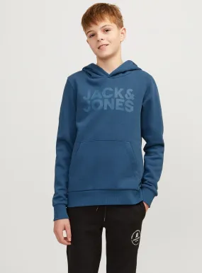 Buy JACK & JONES JUNIOR Logo Hooded Sweatshirt 10 years | Jumpers and hoodies | Tu