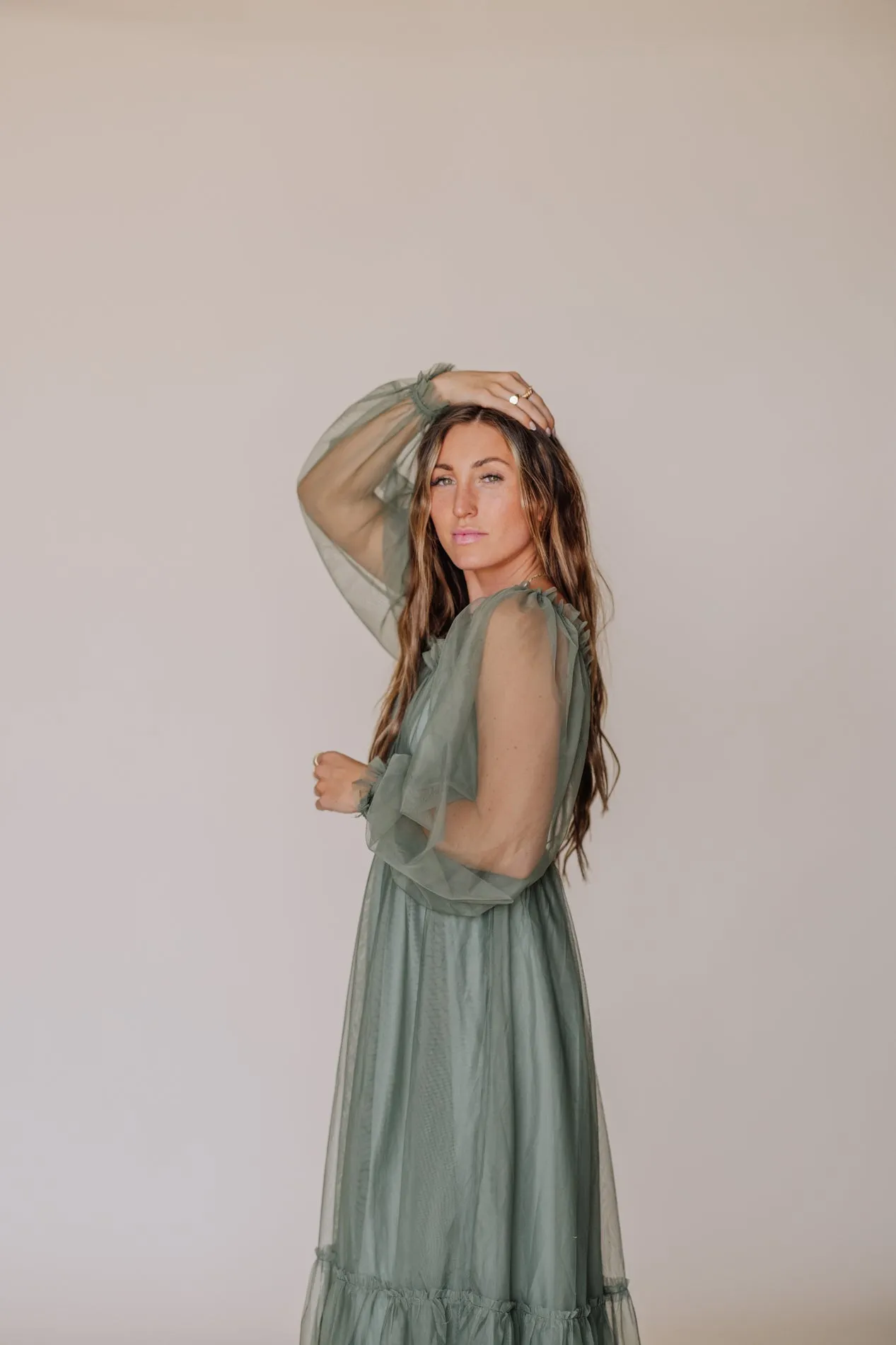 Cambria Mesh Long Sleeve Dress